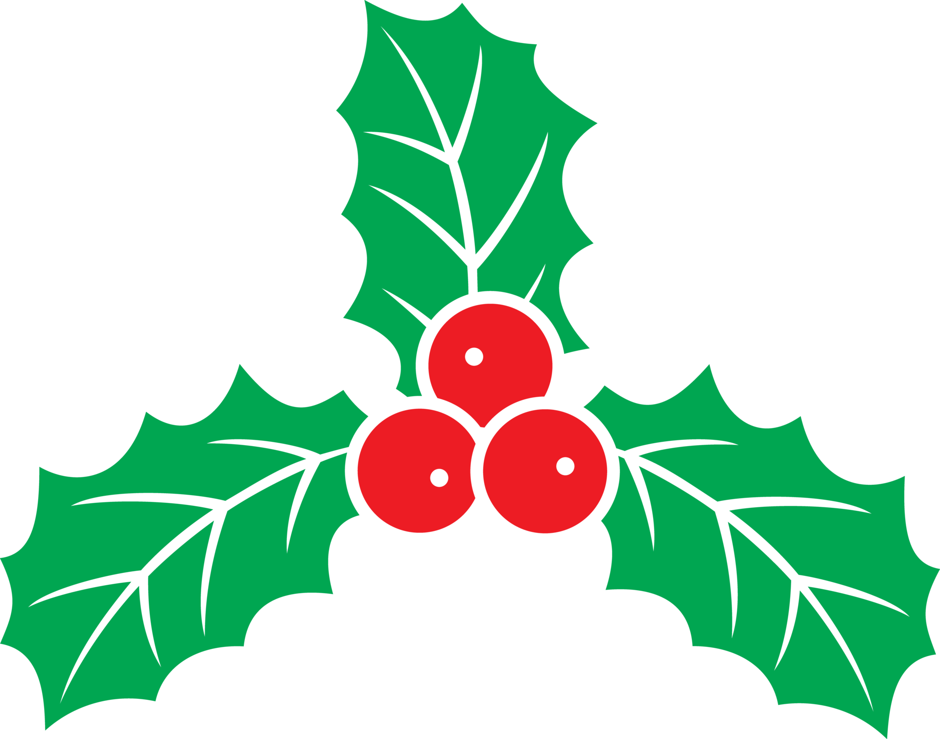 Holly PNG HD Image