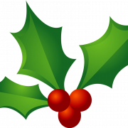 Holly PNG Image