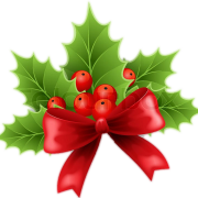 Holly PNG Images HD