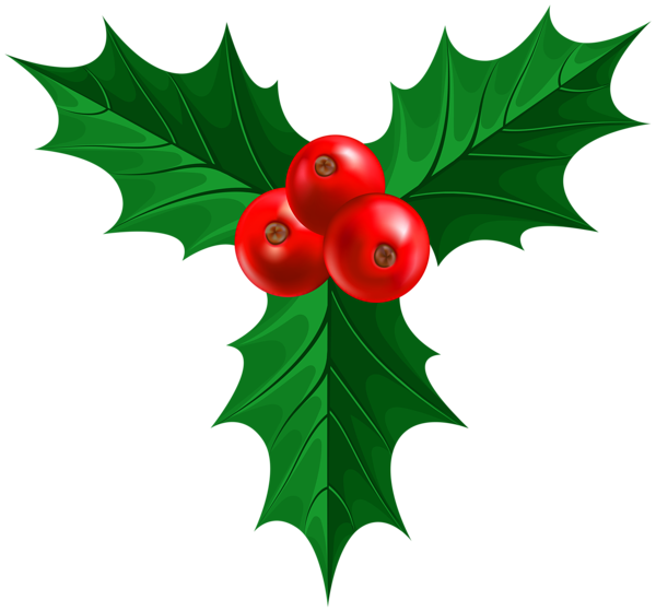 Holly PNG Images
