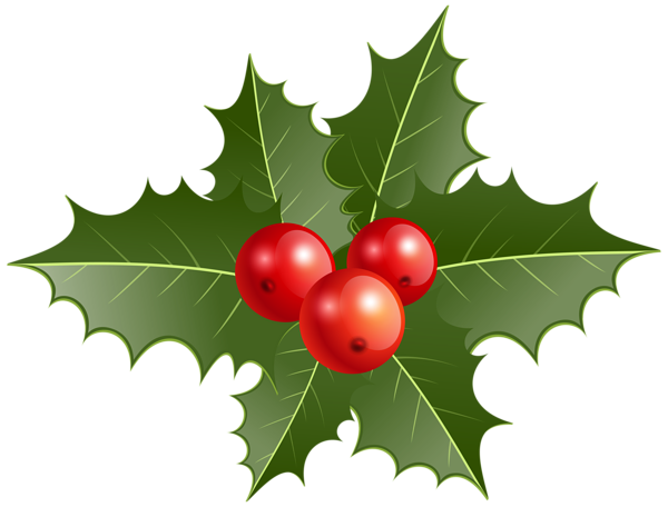 Holly PNG Pic