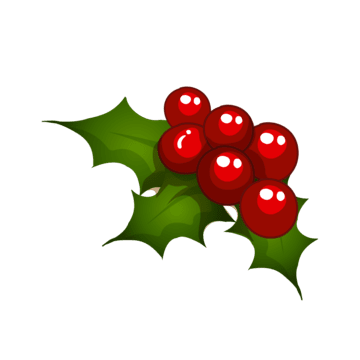 Holly PNG Picture