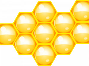 Honeycomb