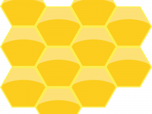 Honeycomb PNG Photos