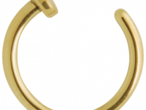 Hoop Nose Ring PNG Picture