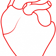 Human Heart Background PNG