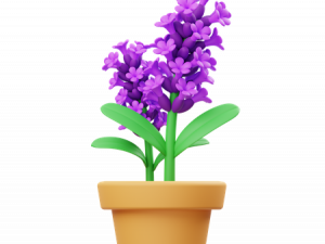 Lavender PNG