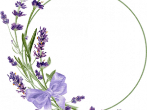 Lavender PNG Cutout