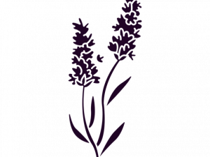 Lavender PNG File