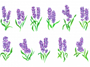 Lavender PNG Free Image