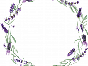 Lavender PNG Image HD