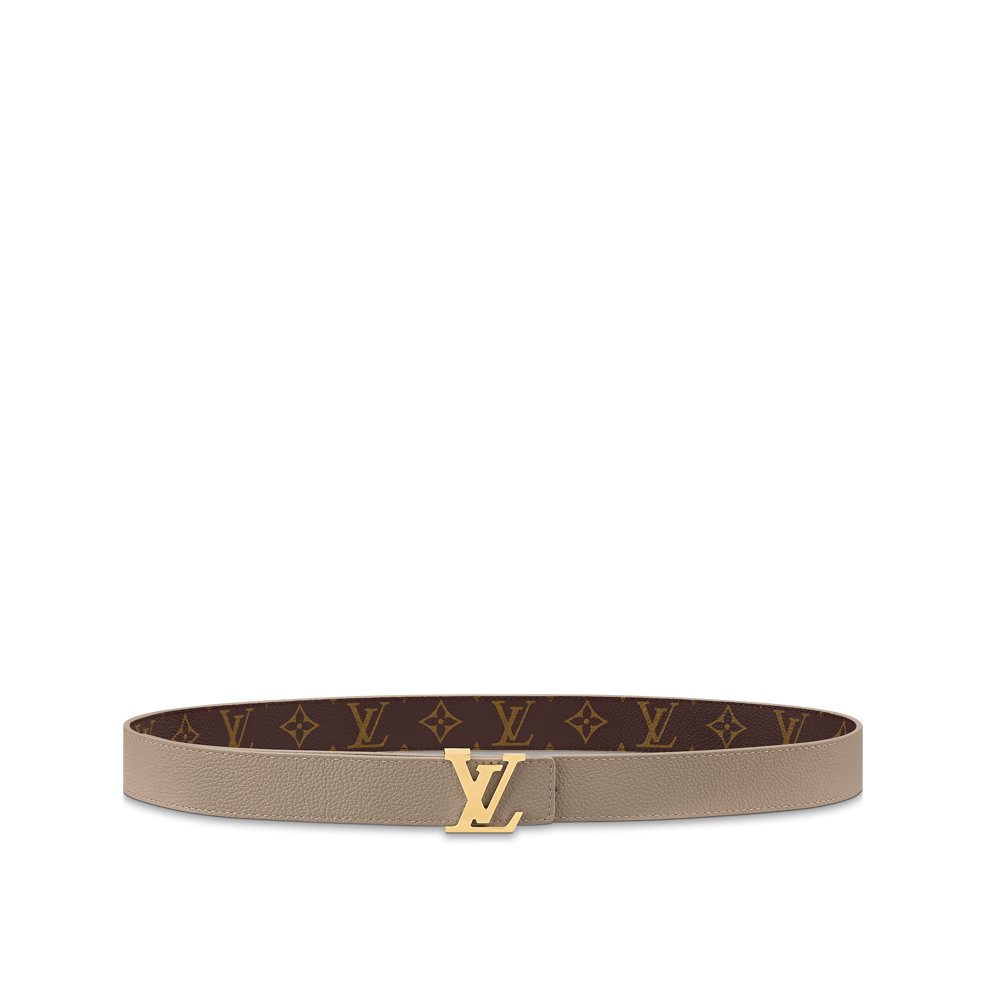 Louis Vuitton Reverso Belt PNG Image