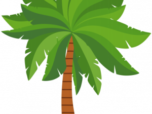 Palm Leaf PNG Free Image