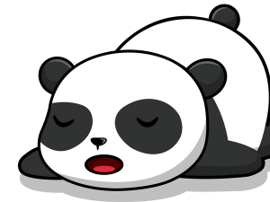 Panda PNG Picture