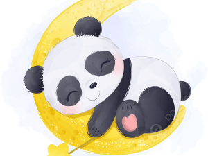 Panda Transparent