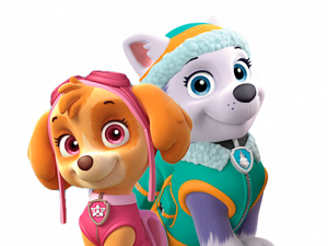 Paw Patrol Skye PNG Image