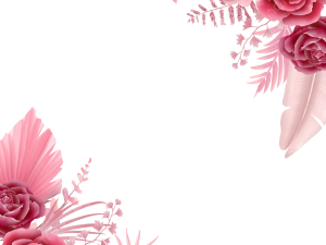 Pink PNG Images HD