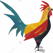 Rooster PNG Photos