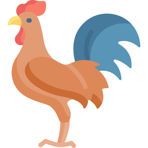 Rooster PNG Pic