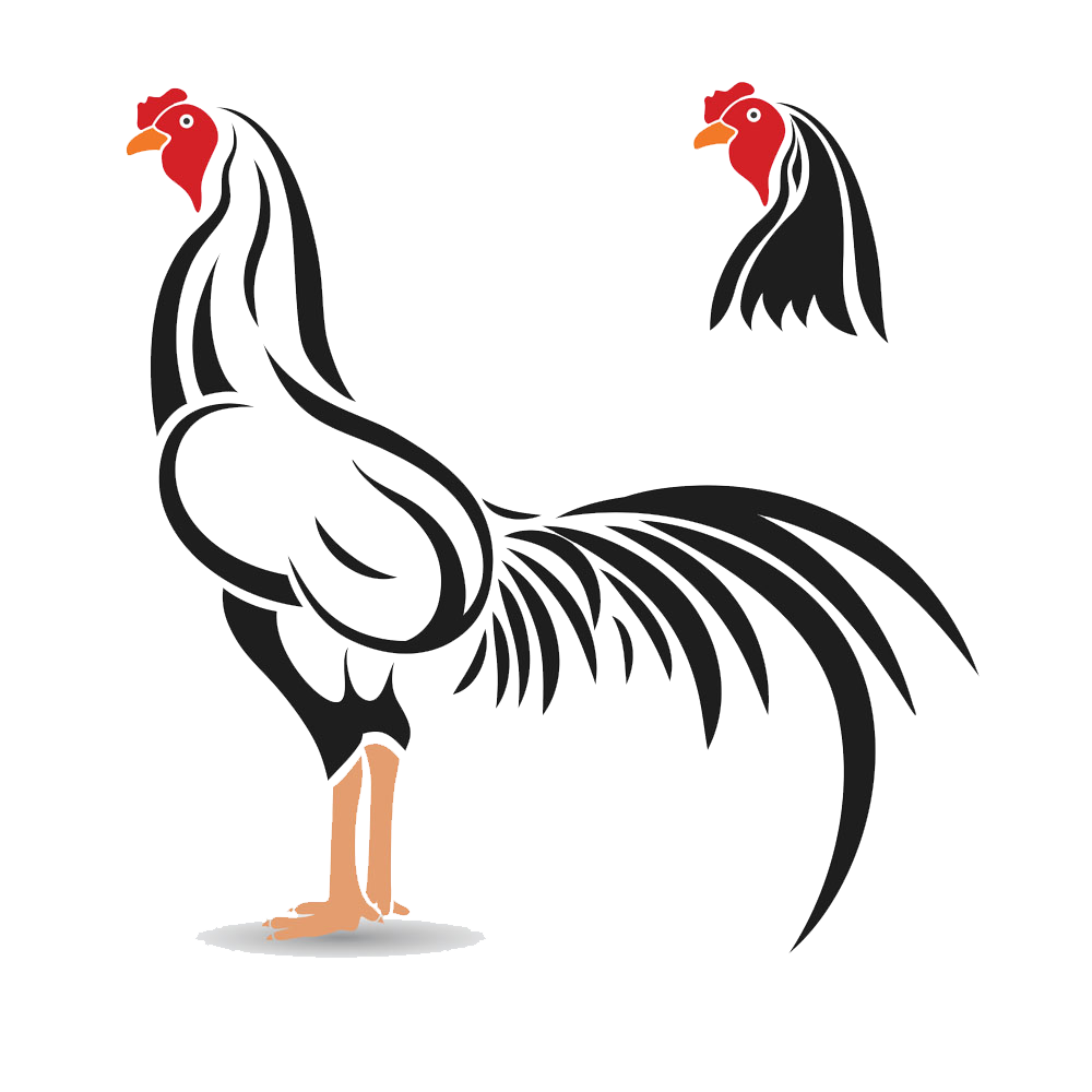Rooster PNG Picture