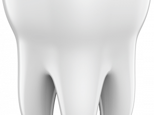 Tooth