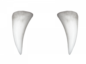 Tooth Background PNG