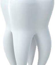 Tooth PNG File