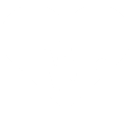 heart symbol, heartbeat line, health icon, medical graphic, White Heart PNG