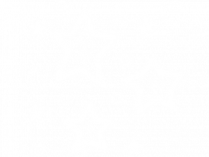 White Star PNG Clipart