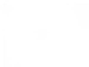 White Star PNG HD Image