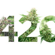 420 PNG