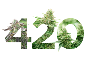 420 PNG