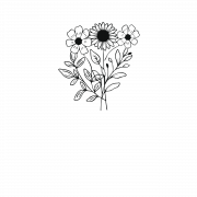 Aesthetic Flower PNG Cutout