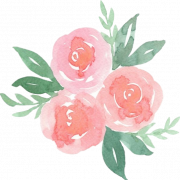 Aesthetic Flower PNG Images