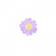 Aesthetic Flower Transparent