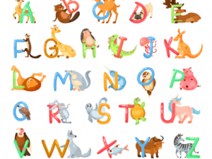 Alphabet Transparent