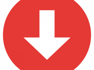 Arrow Down PNG Photo