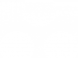 Asana Logo