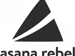 Asana Logo PNG Cutout