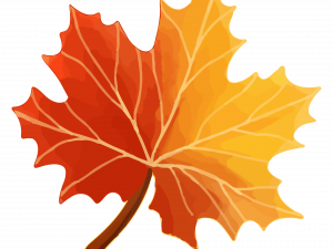 Autumn Leaf PNG Clipart