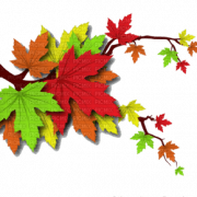 Autumn Leaf PNG HD Image