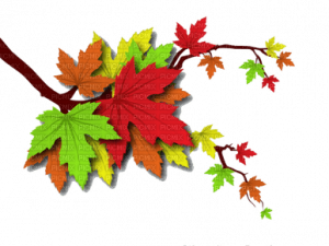 Autumn Leaf PNG HD Image