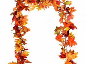 Autumn Leaf PNG Image File