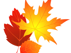 Autumn Leaf PNG Images