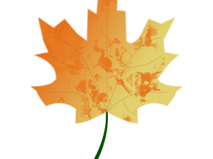 Autumn Leaf PNG Photo