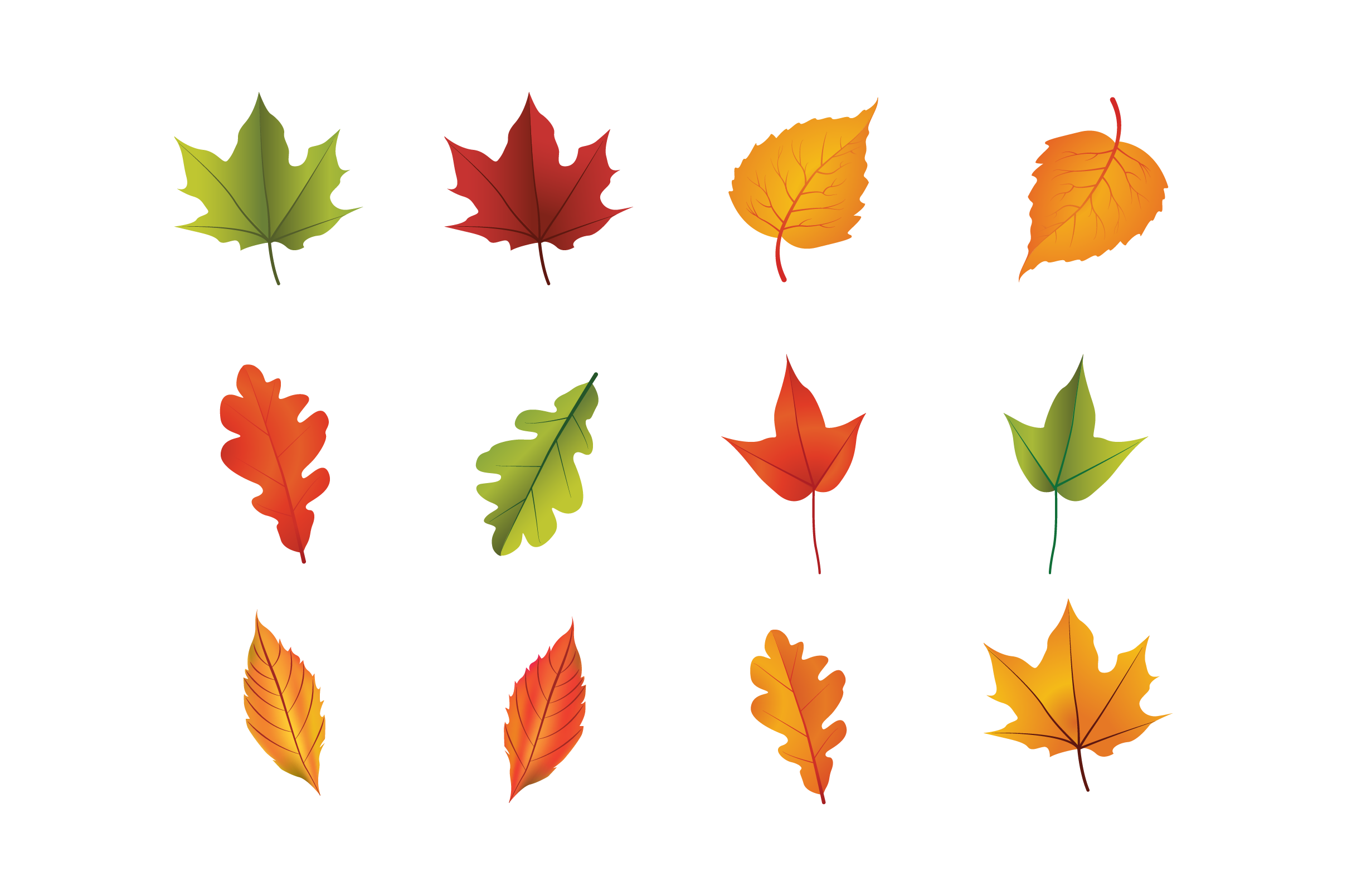 Leaf PNG Transparent Images - PNG All