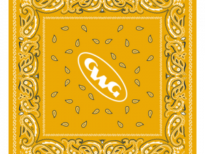 Bandana Pattern PNG Image