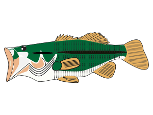 Bass Fish PNG Image File