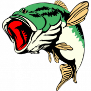 Bass Fish PNG File | PNG All