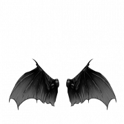 Batman Wings